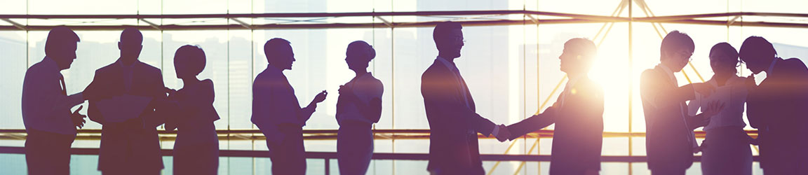 Silhouettes of professionals networking